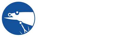 路达人路亚